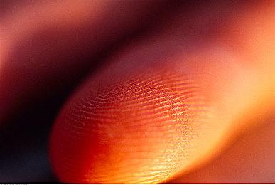 爆料者称FS社忙于《艾尔登法环》 没空管《血源》